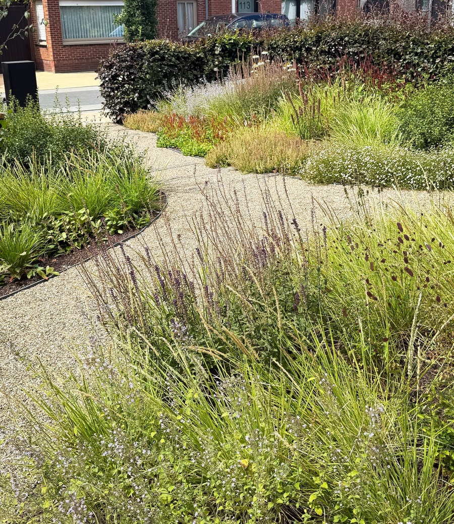 Ontharde, biodiverse voortuin in Essen, ontwerp van tuin- en landschapsarchitect Lscapes