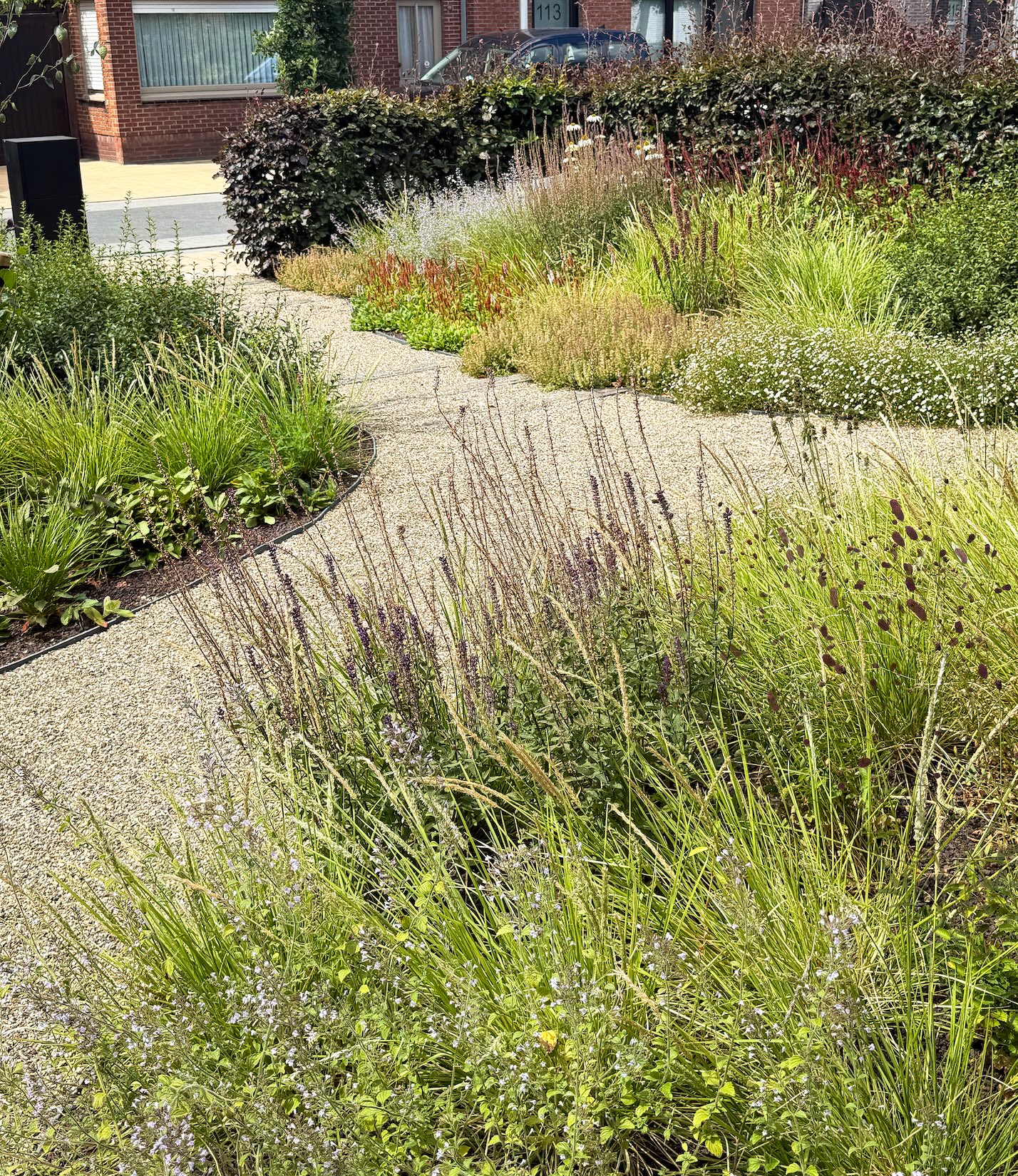 Ontharde, biodiverse voortuin in Essen door tuin- en landschapsarchitect Lscapes